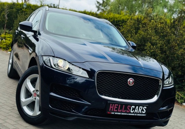 jaguar