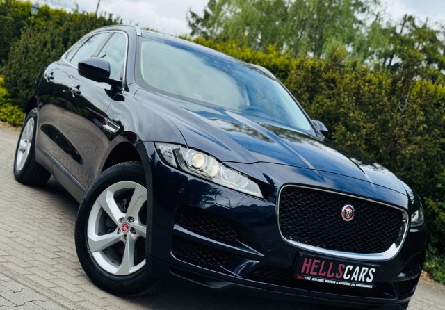 jaguar